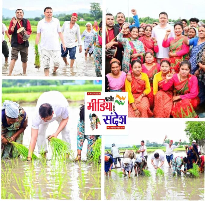 मुख्यमंत्री पुष्कर सिंह धामी ने खटीमा में की धान की रोपाई