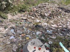 लालकुआं नगर पंचायत की लापरवाही 👉 कीटनाशक दवाइयों का छिड़काव ना होने पर शहर में डेंगू जैसी बीमारी फैलने की संभावना