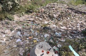 लालकुआं नगर पंचायत की लापरवाही 👉 कीटनाशक दवाइयों का छिड़काव ना होने पर शहर में डेंगू जैसी बीमारी फैलने की संभावना