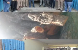 👉 धाकड़ धामी सरकार में 👉 तराई केंद्रीय वन प्रभाग में वन विभाग की टीम ने पकड़ी टाटा 407 खैर के गिल्टे बरामद👉 तस्कर फरार 🤔