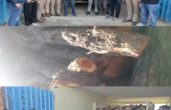 👉 धाकड़ धामी सरकार में 👉 तराई केंद्रीय वन प्रभाग में वन विभाग की टीम ने पकड़ी टाटा 407 खैर के गिल्टे बरामद👉 तस्कर फरार 🤔