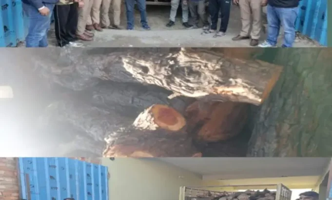 👉 धाकड़ धामी सरकार में 👉 तराई केंद्रीय वन प्रभाग में वन विभाग की टीम ने पकड़ी टाटा 407 खैर के गिल्टे बरामद👉 तस्कर फरार 🤔