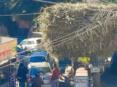 उधम सिंह नगर 👉 किच्छा🥺🥺 ओवरलोड वाहन चीनी मिल के दुर्घटना का शिकार होती आम जनता
