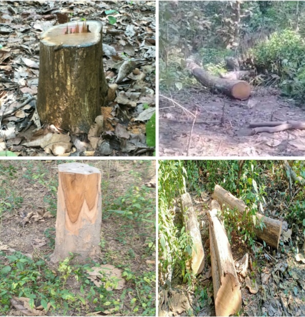 Screenshot_20251207_165040