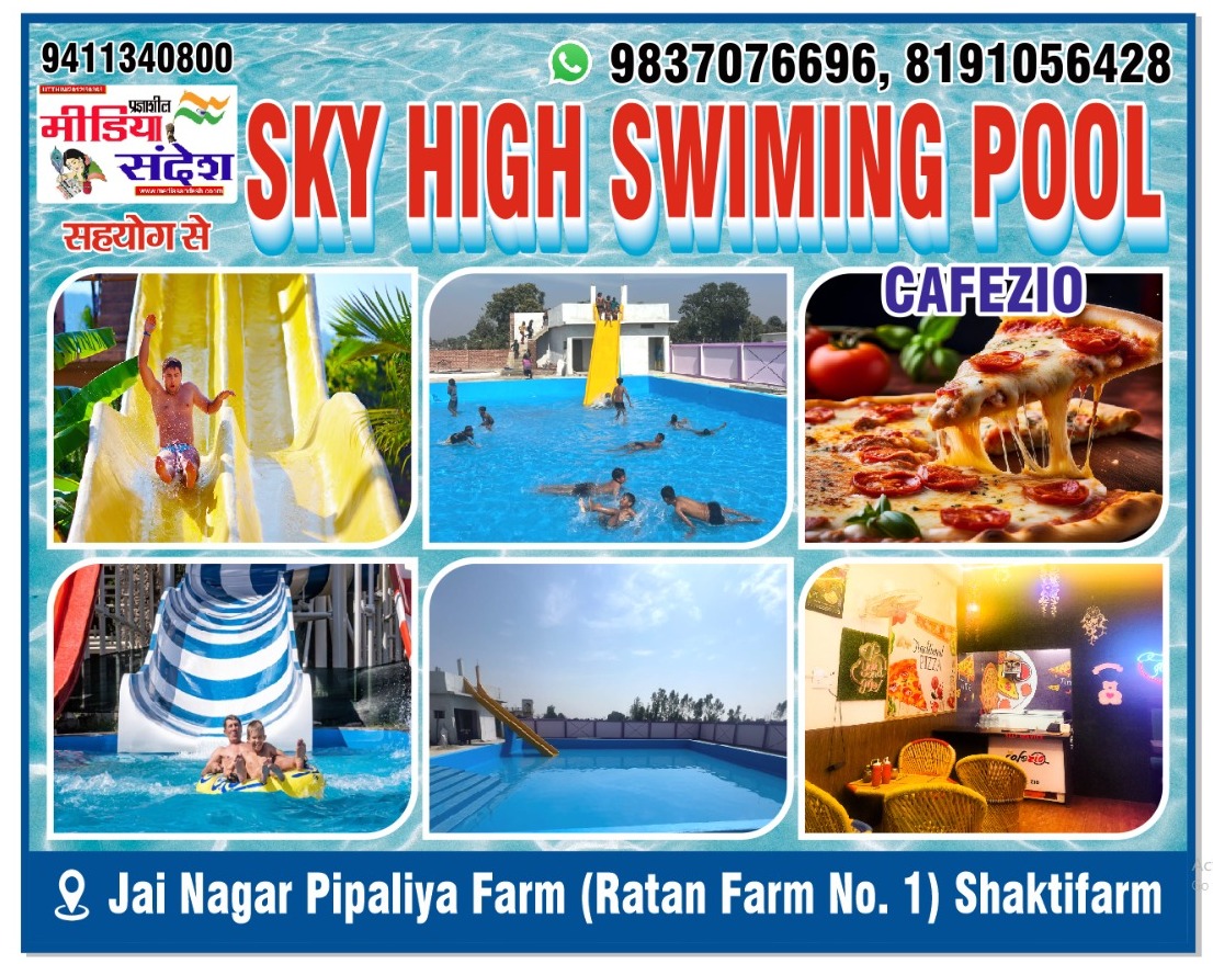 Google search engine