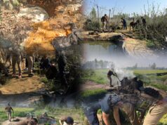 एसएसपी ऊधमसिंहनगर अजय गणपति का शराब माफियाओं पर कड़ा प्रहार — 47 शराब तस्कर गिरफ्तार, 52 मुकदमे दर्ज।