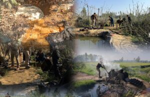 एसएसपी ऊधमसिंहनगर अजय गणपति का शराब माफियाओं पर कड़ा प्रहार — 47 शराब तस्कर गिरफ्तार, 52 मुकदमे दर्ज।