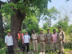 खटीमा में अवैध शराब के खिलाफ बड़ी कार्रवाई, 3 भट्टियां नष्ट